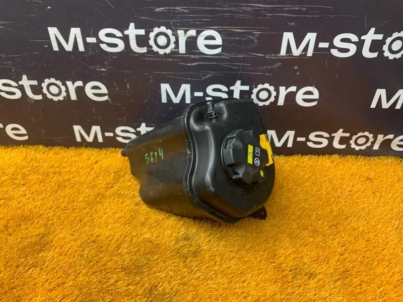 Бачок расширительный Bmw X5 2008 13177552546 E70 N52B30A