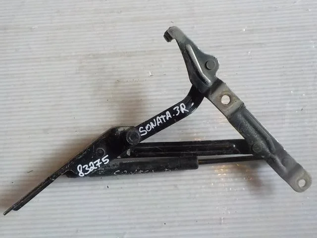 Петля крышки багажника Hyundai Sonata IV рестайлинг (2001—2012) Зад Право