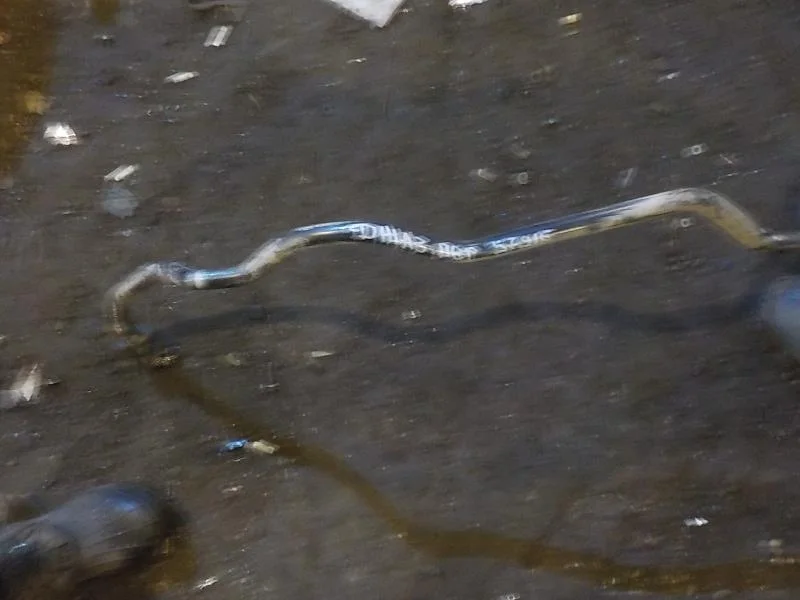 Стабилизатор Honda Fit GD (2001—2008) Перед