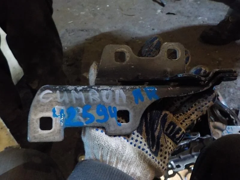 Петля капота Renault Symbol I рестайлинг (2002—2006)