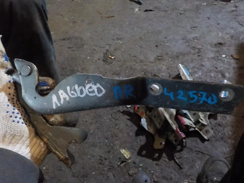 Петля капота FIAT Albea I рестайлинг (2005—2012)