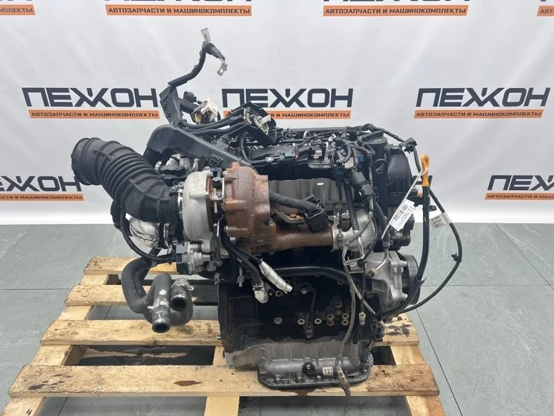 Двигатель KIA SORENTO Prime 2018 1F3112FH00 UM 2.2 D4HB