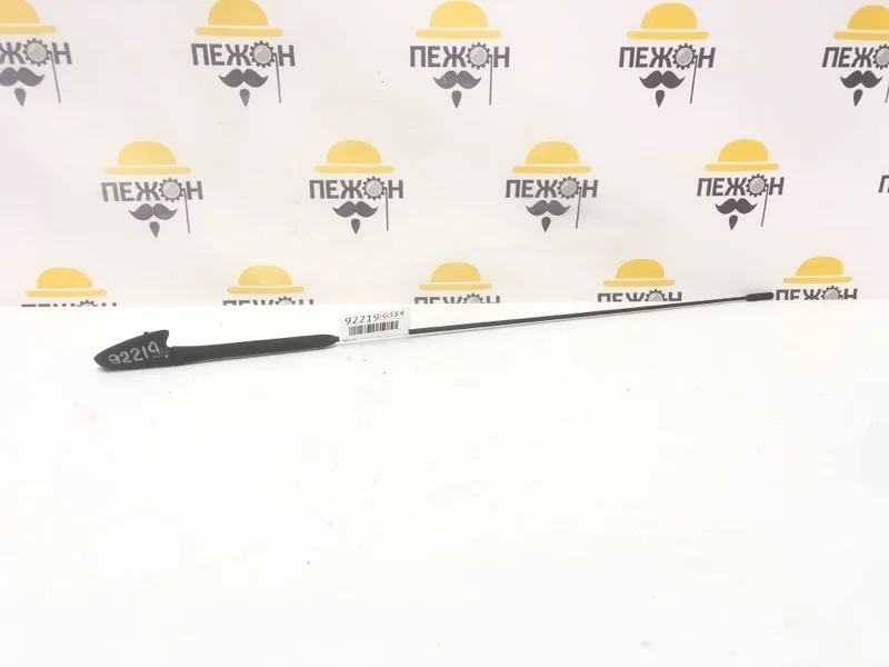 Антенна FORD FOCUS 2009 1087087 2 1.6 SHDA