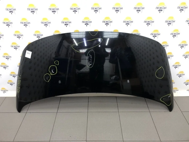 Капот 7901Q8