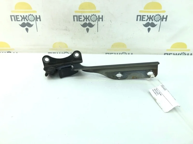 Петля капота SUZUKI JIMNY 2006 5742050G00 JB43 1.3 M13A, левая