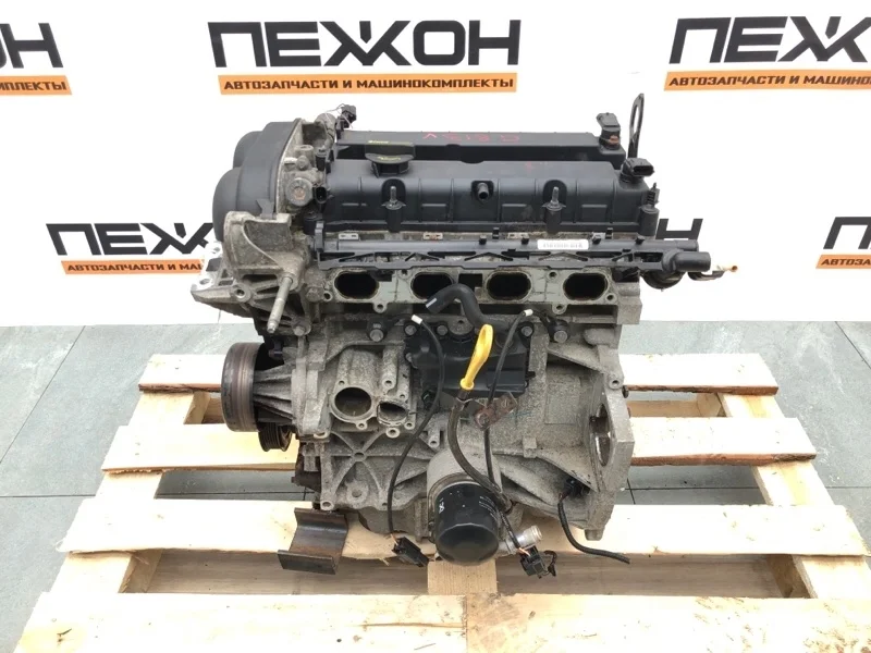 Двигатель FORD FOCUS 2011 1752082 3 1.6 IQDB