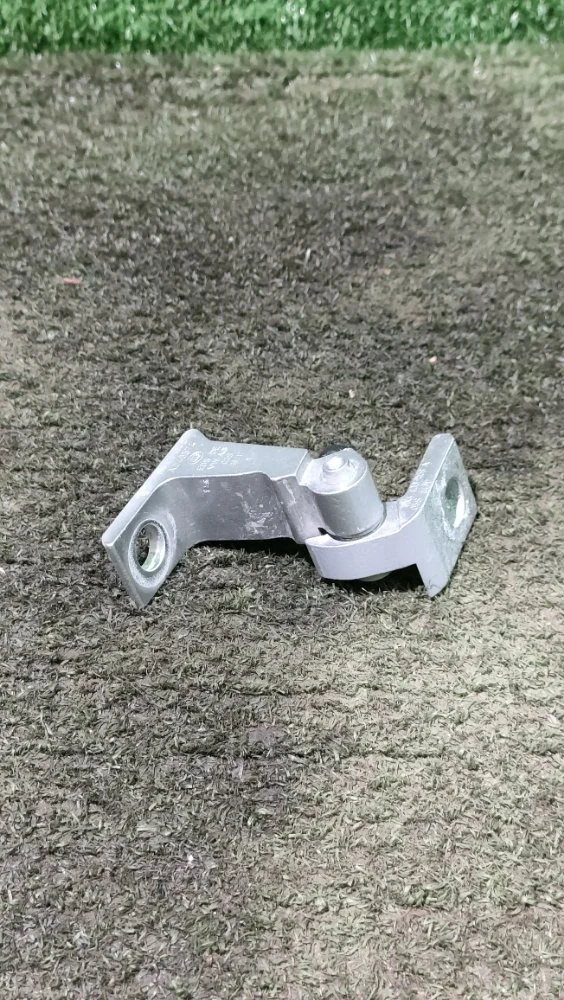 Петля двери Volkswagen Tiguan 2017 8V5833404B 2 CZDA, задняя правая