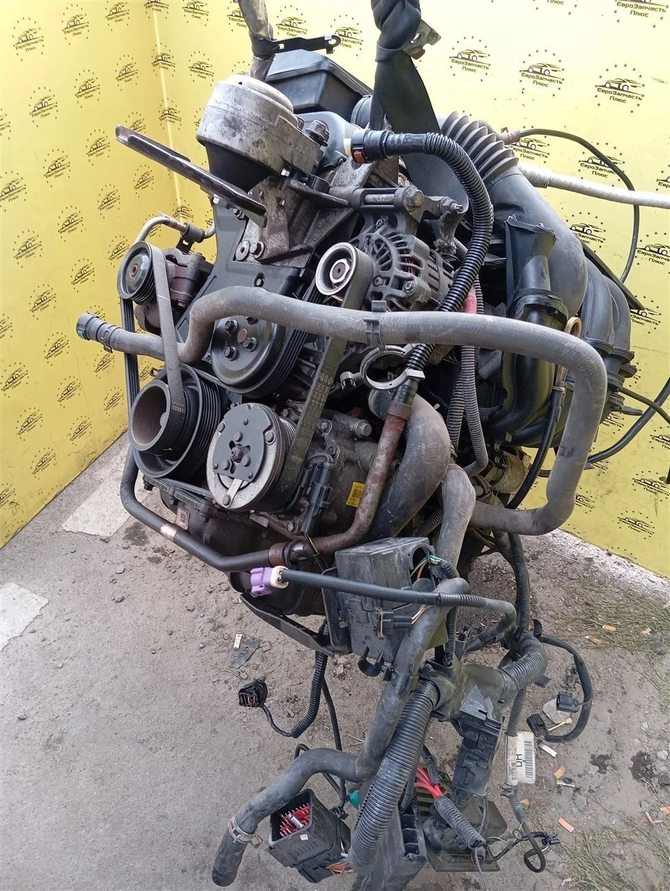 Двигатель Ford Fusion FXJA8Y03281 B226 FXJA