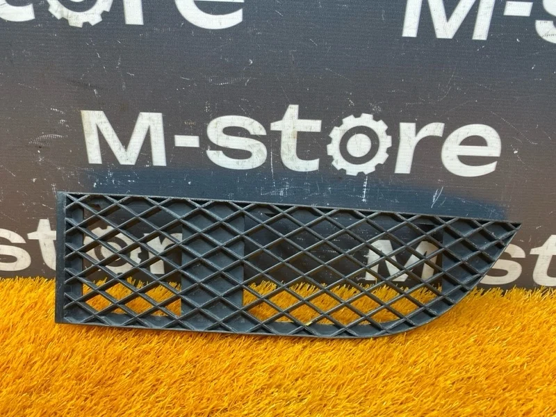 Решетка бампера Bmw 7-Series 2007 51117135563 E65 N62B40A, передняя левая