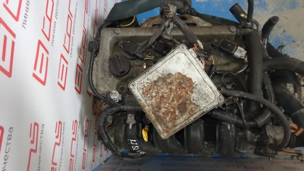 Двигатель TOYOTA ALLEX 1NZ-FE NCP10 uT237900