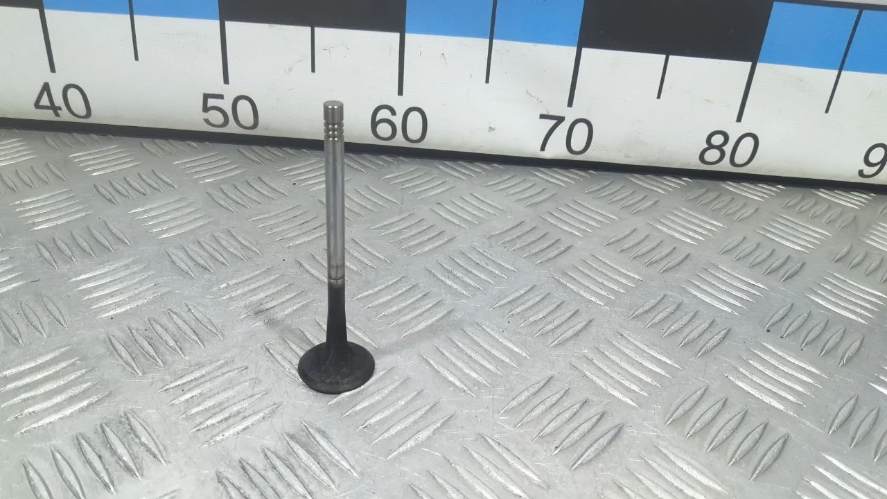 [Б/У] Выпускной клапан двигателя 6х28х101.9 [Код: 00373092 ]