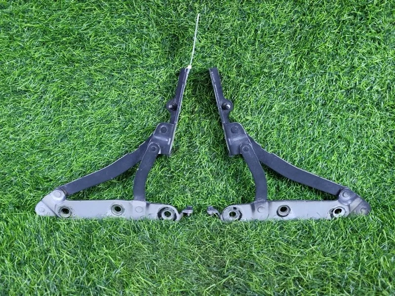 Петли багажника Nissan Teana 2010 84401JN00A J32 VQ25DE, задние