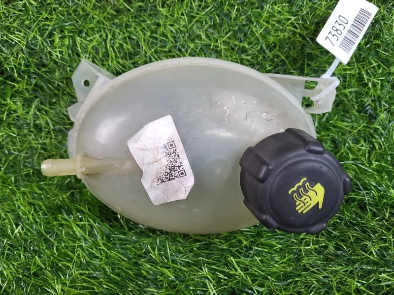 Расширительный бачок Renault Captur 2014 217107259R J87 H5F