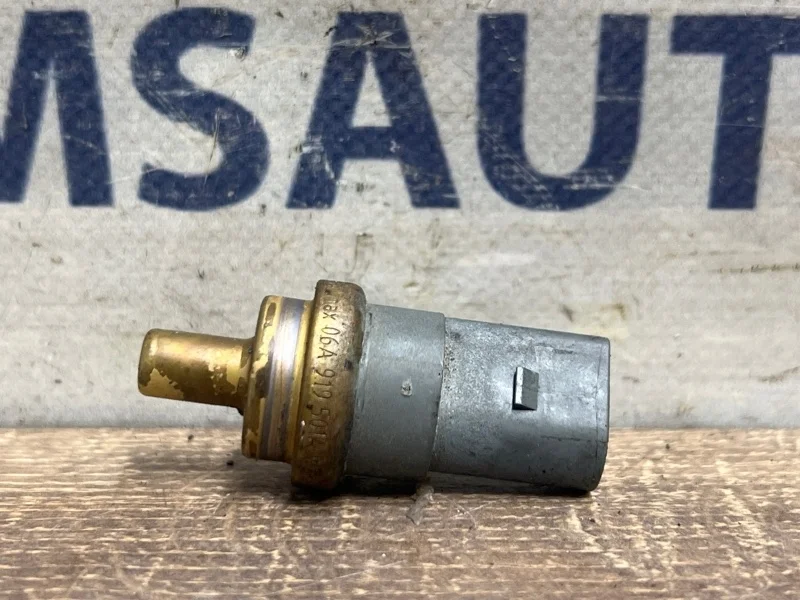 Датчик температурный Audi A8 06A919501A D3 4.2 BVJ