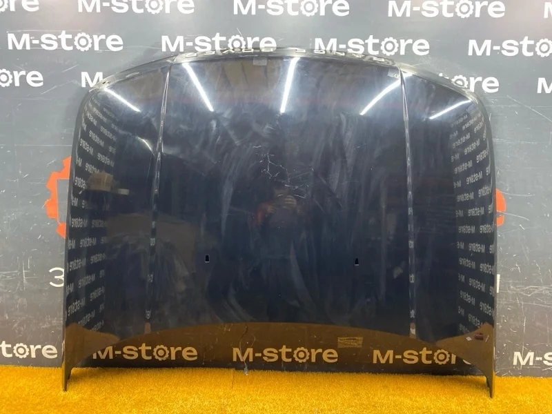 Капот Land Rover Range Rover Sport 2006 BKA790050 L320 428PS