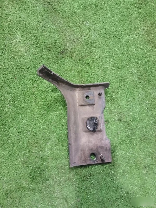 Молдинг Ford Focus 2