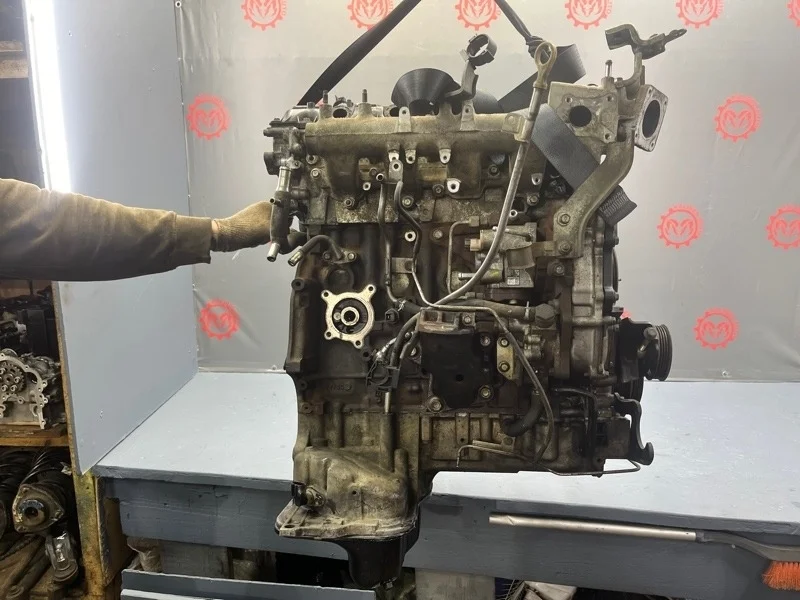 Двигатель Nissan pathfinder 2009 10102EC00A R51 2.5 YD25DDTI