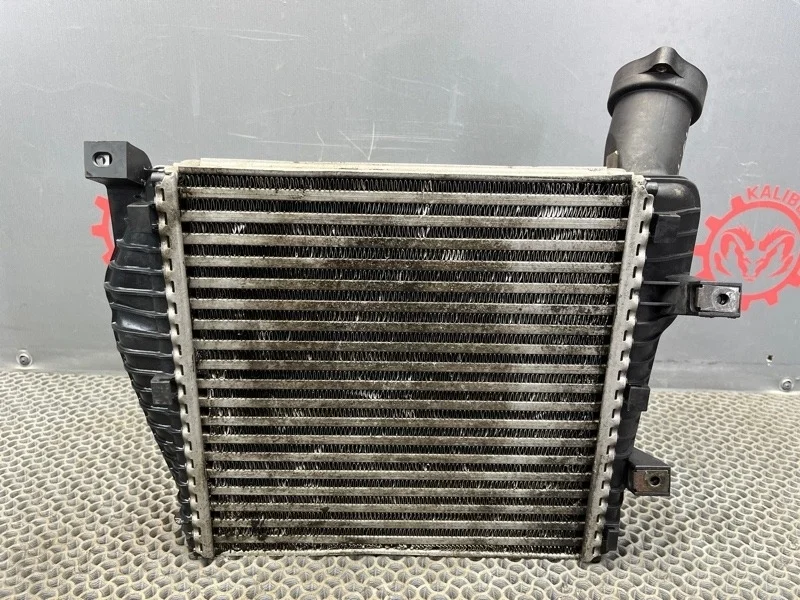 Интеркулер Volkswagen Touareg 2004 7L6145803E 7LA 2.5 BAC 033884