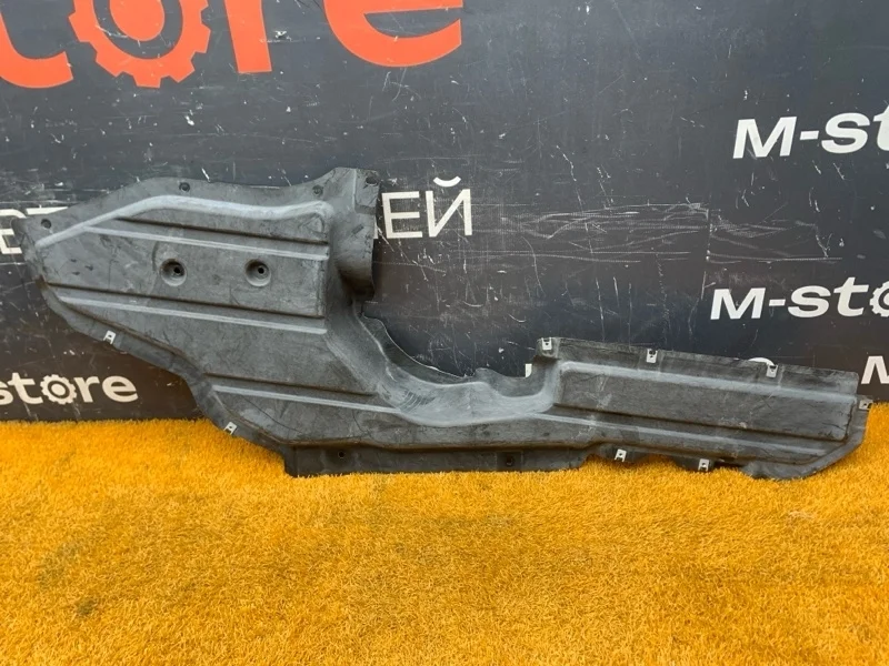 Защита днища кузова BMW X5 2008 51757171390 E70 N52B30A, левая