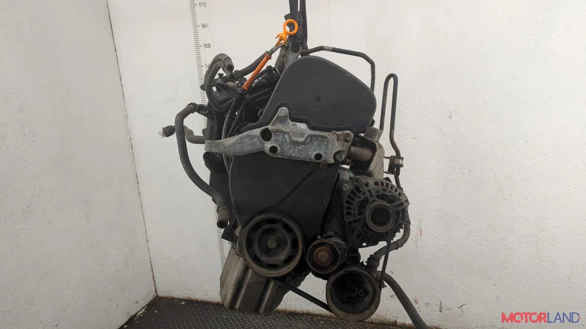 Двигатель (ДВС) Volkswagen Golf 4 1997-2006 КПП 5-ст.мех.(МКПП) AKQ Бензин 1.4 л Инжектор