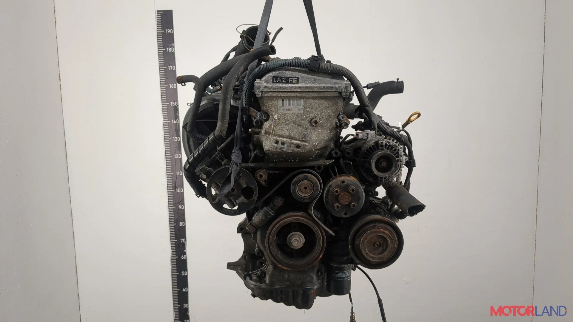 Двигатель (ДВС) Toyota RAV 4 2000-2005 КПП 5-ст.мех 4х4 (МКПП) 1AZFE Бензин 2 л Инжектор