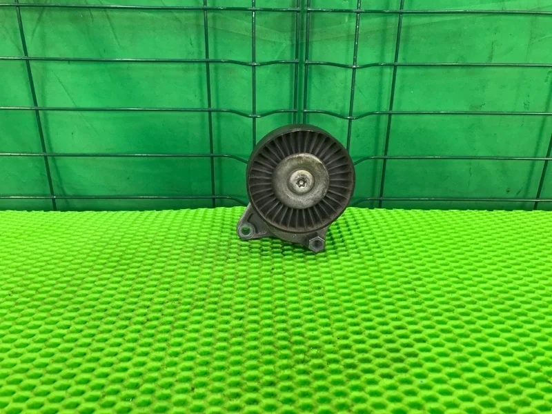 Натяжитель приводного ремня Mercedes-Benz 25/06/2004 W211