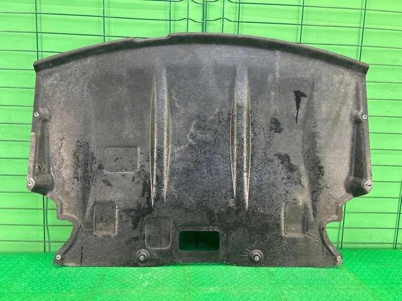 Защита двигателя BMW 5 2007 E60