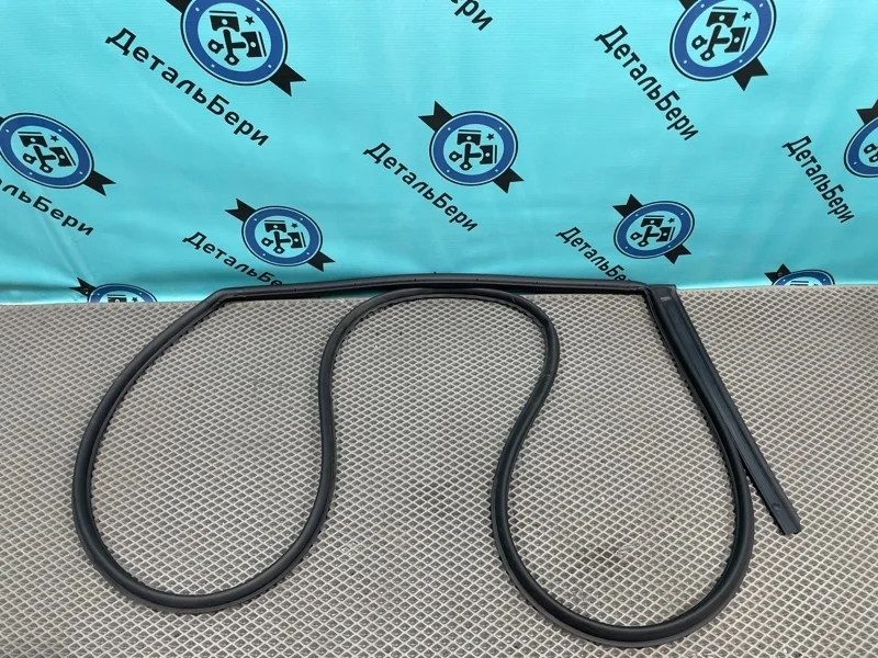 Уплотнитель двери Hyundai Solaris 83130H5000 2 1.4, задний левый