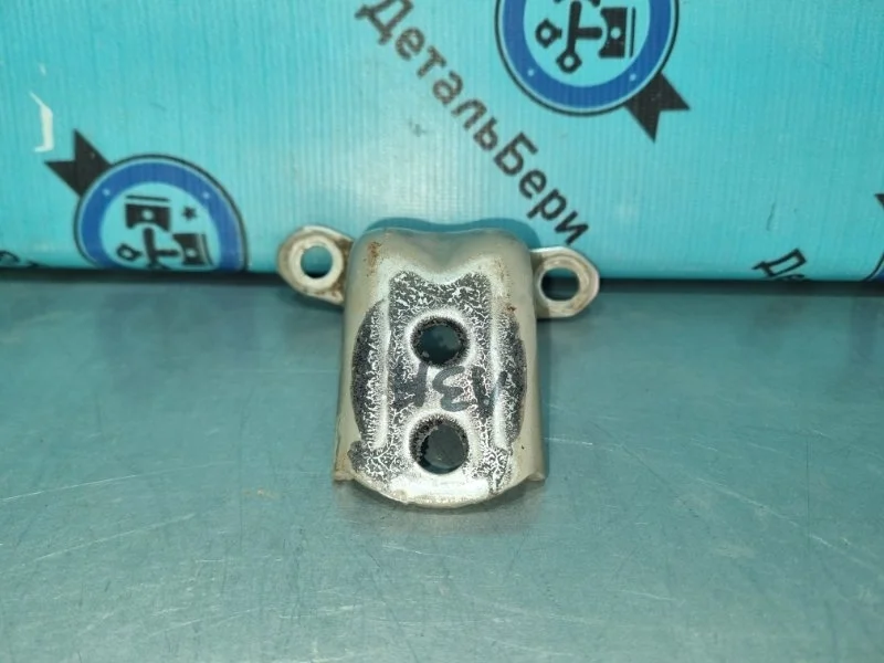 Петля двери Nissan Qashqai 824212F030 J10, задняя левая