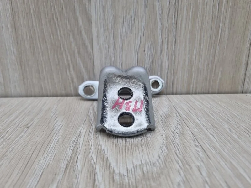 Петля двери Nissan X-Trail 824204P00A T31, задняя правая