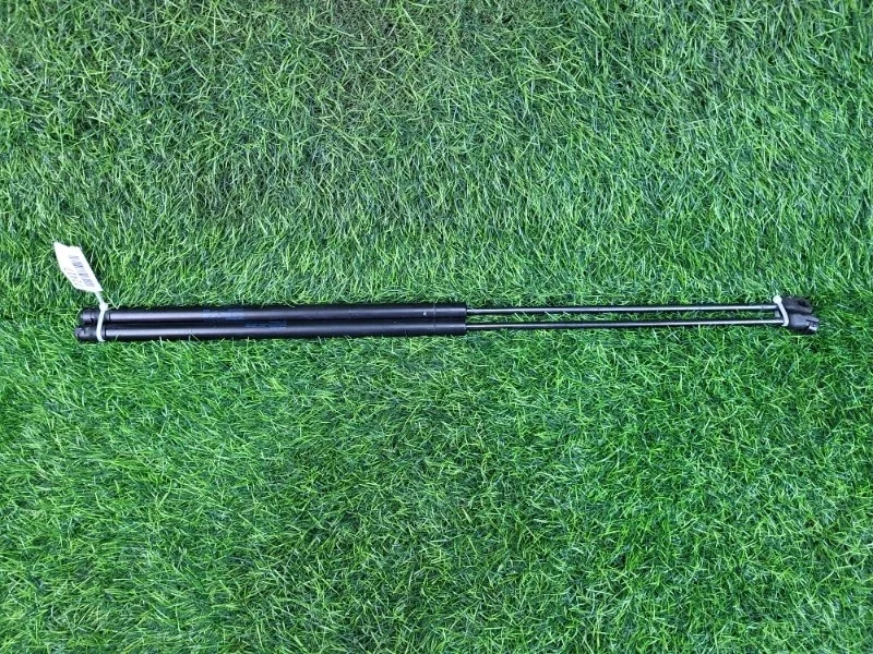 Амортизаторы капота Audi A4 2006 8E0823359A B7 BWE 2.0T, передние