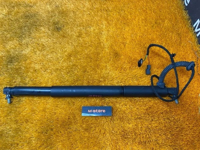 Амортизатор багажника Bmw X6 2012 7332697 E71 N55B30A, левый