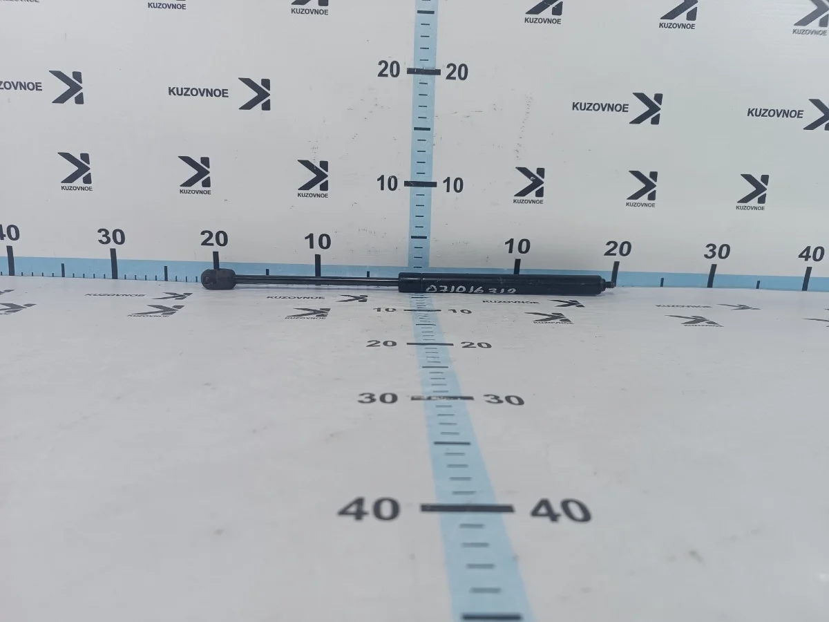 Амортизатор крышки багажника Volkswagen Passat 2006 3C2