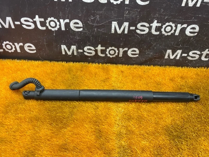 Амортизатор багажника Bmw X6 2013 7332697 E71 N55B30A, левый