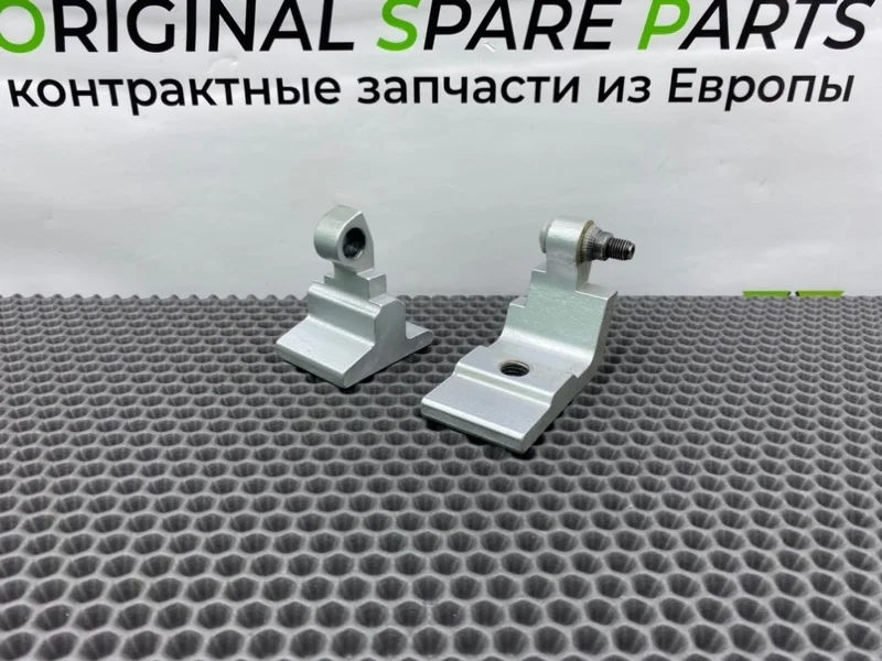 Петля двери Bmw 5-Series 2005 41527201304 E60 M57D25, задняя правая