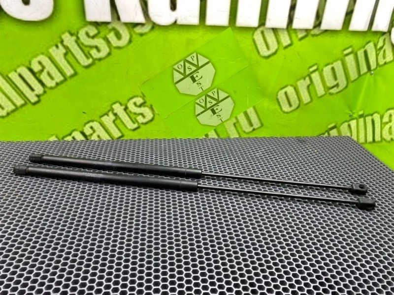 Амортизаторы Mercedes-Benz E-Class 2003 A2118800029 S211 OM647 DE 27, передние