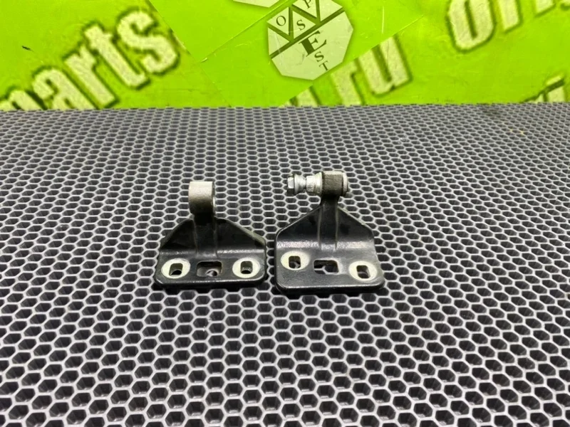 Петли дверей Mercedes-Benz E-Class 2003 A2117300137 S211 OM647 DE 27, задние левые