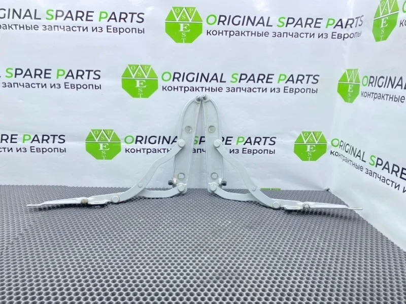 Петли багажника Bmw 3-Series 1999 41627001559 E46 M43B16 1.9I, задние