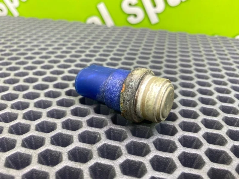 Датчик включения вентилятора Audi A6 2004 8D0959481B C5 AVANT BDH 2.5TDI