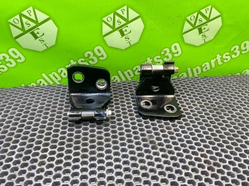 Петли дверей Bmw X3 2005 41003422370 E83 M54B30, задние правые