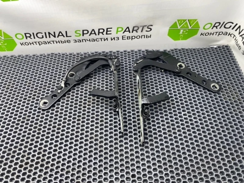 Петли капота Bmw X3 2005 41613452843 E83 M54B30, передние