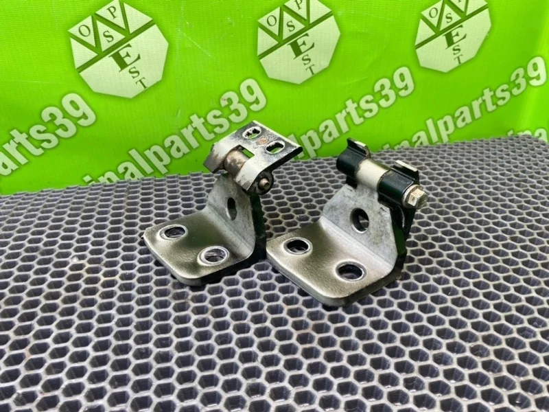 Петли дверей Bmw X3 2005 41003422369 E83 M54B30, передние левые