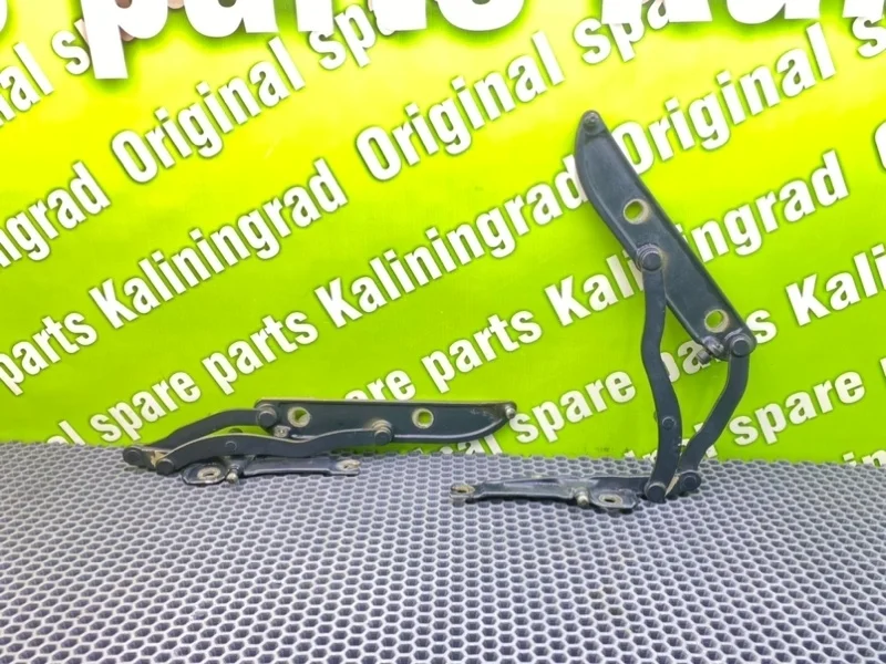 Петли багажника Bmw 3-Series 1999 41627001559 E46 M43B16 1.9I