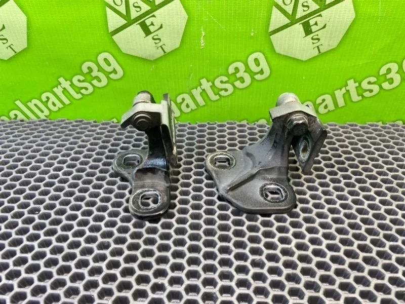 Петли дверей Bmw 7-Series 2004 41517176860 E66 N62B44A, передние правые