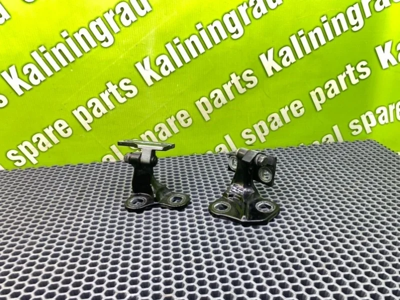 Петли дверей Bmw 7-Series 2004 41517176860 E66 N62B44A, задние правые