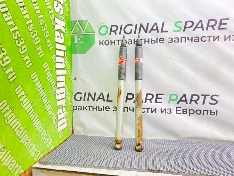 Амортизаторы Mercedes-Benz E-Class 2002 A2113260900 W211 OM646.961 2.2 CDI, задние