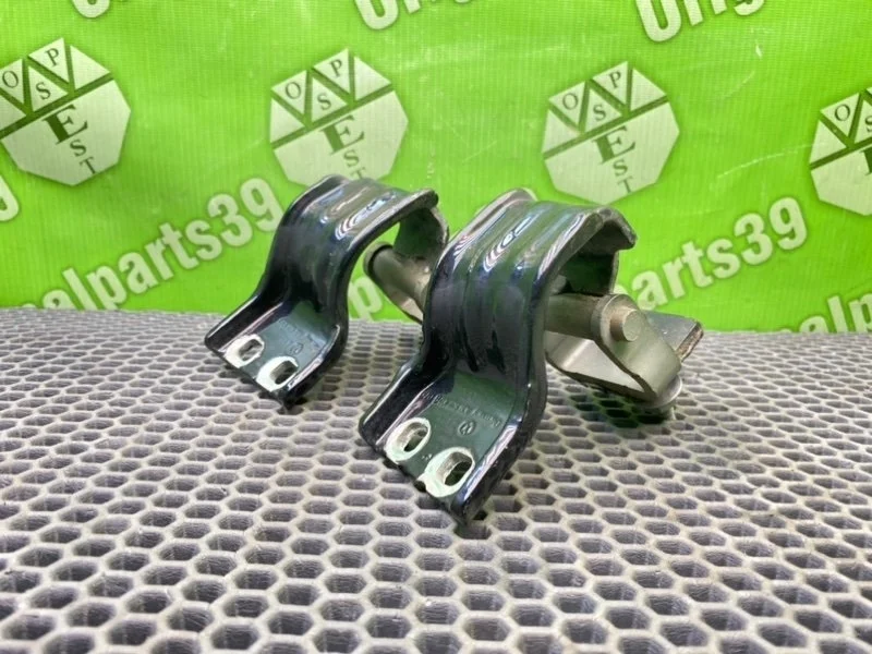 Петли багажника Volkswagen Passat 2006 3C9827301E B6 VARIANT BMP 2.0 TDI