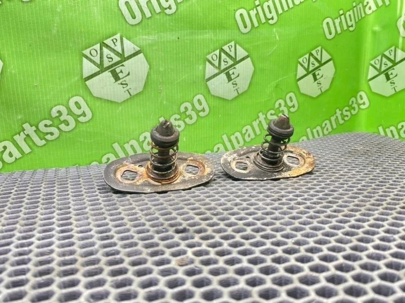 Отбойник капота Bmw 5-Series 2001 51238176594 E39 M57D25 256D1