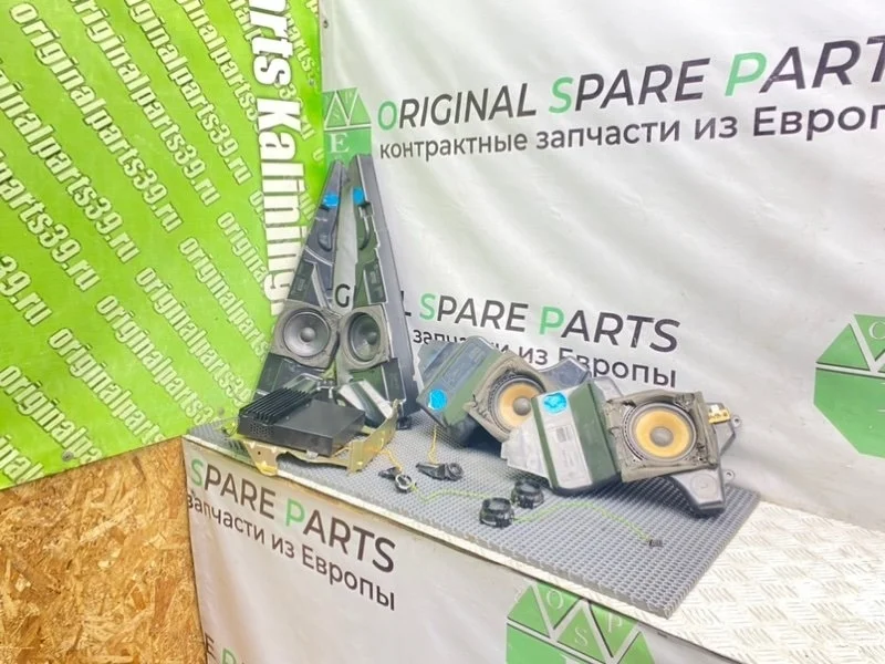 Штатные динамики Bmw 5-Series 2001 65138360782 E39 M57D25 256D1
