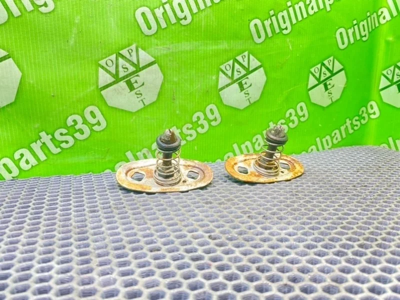 Отбойник капота Bmw 5-Series 2002 51238176594 E39 TOURING M57D25 256D1